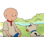 Caillou promène un chien