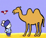 Didou, dessine-moi un chameau