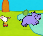 Didou, dessine-moi un hippopotame