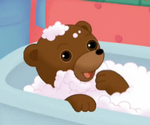 Petit Ours brun prend son bain